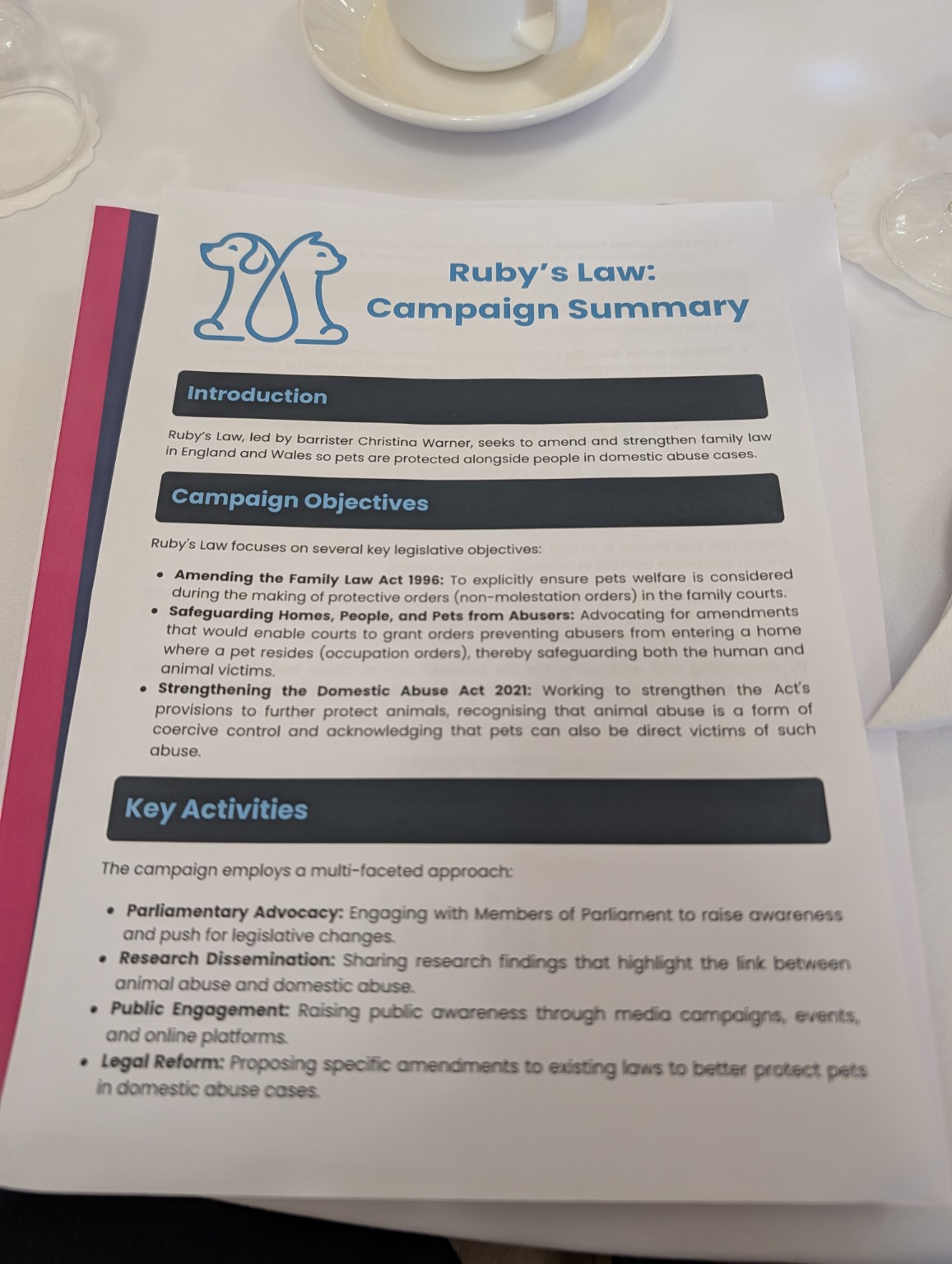 Ruby’s Law campaign summary calling for pets to be protected alongside people in domestic abuse cases